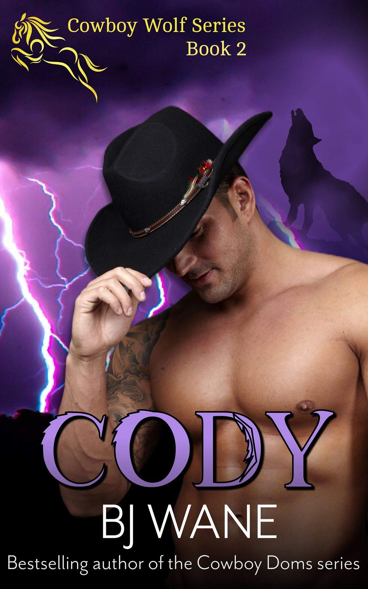 Cowboy Wolf book cover 2