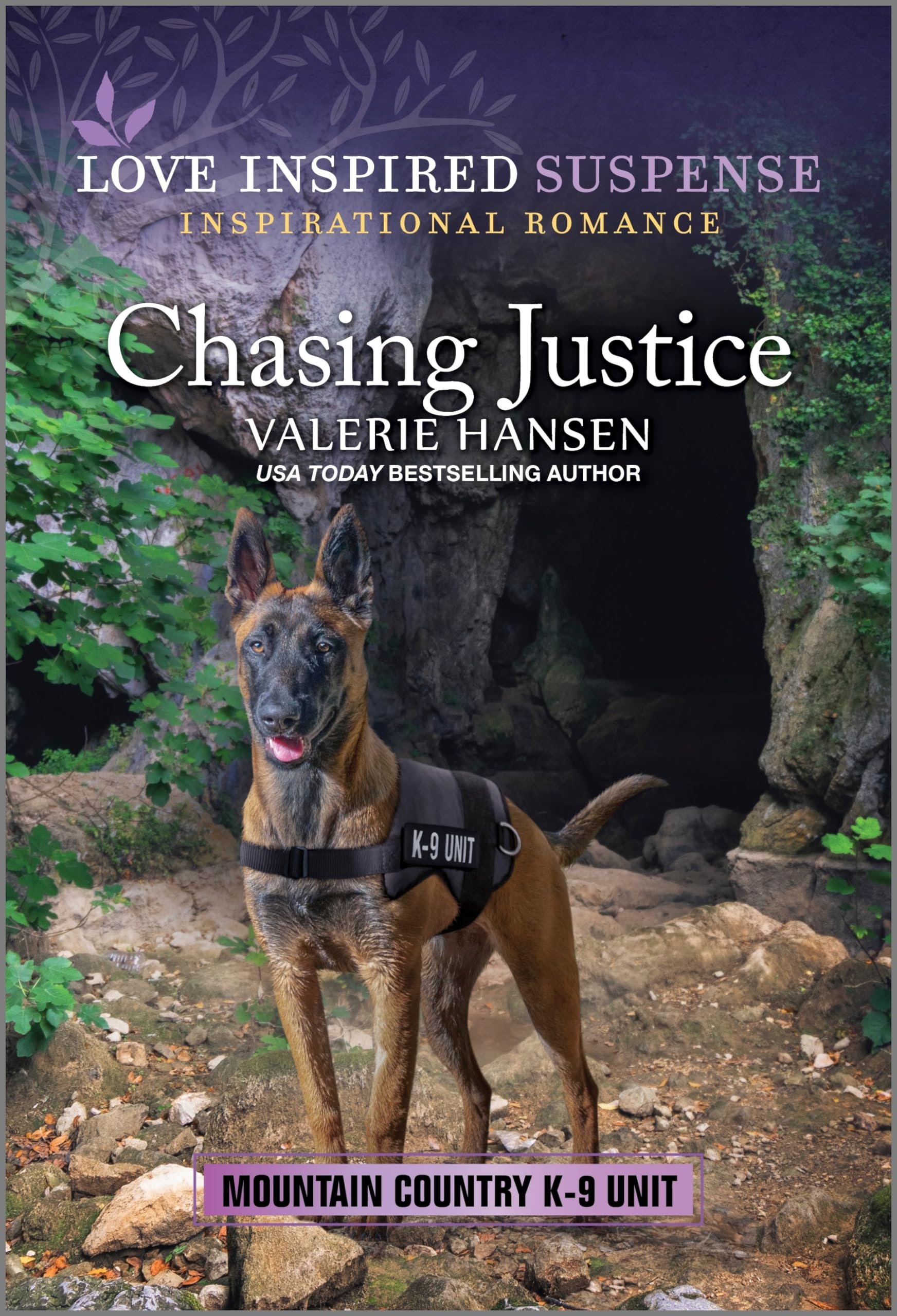 Mountain Country K-9 Unit book cover 2