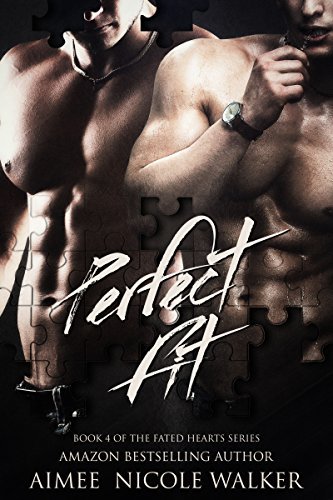 Perfect Fit book cover