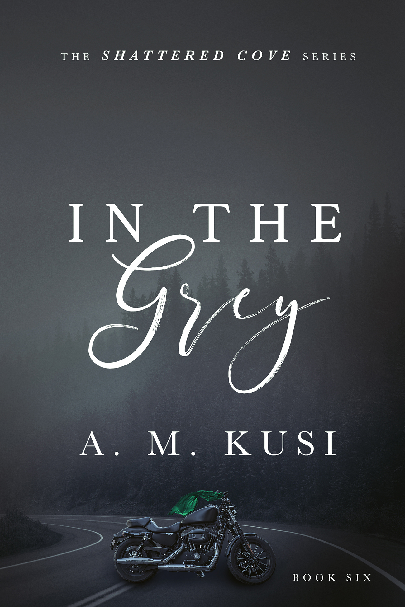 In The Grey book cover