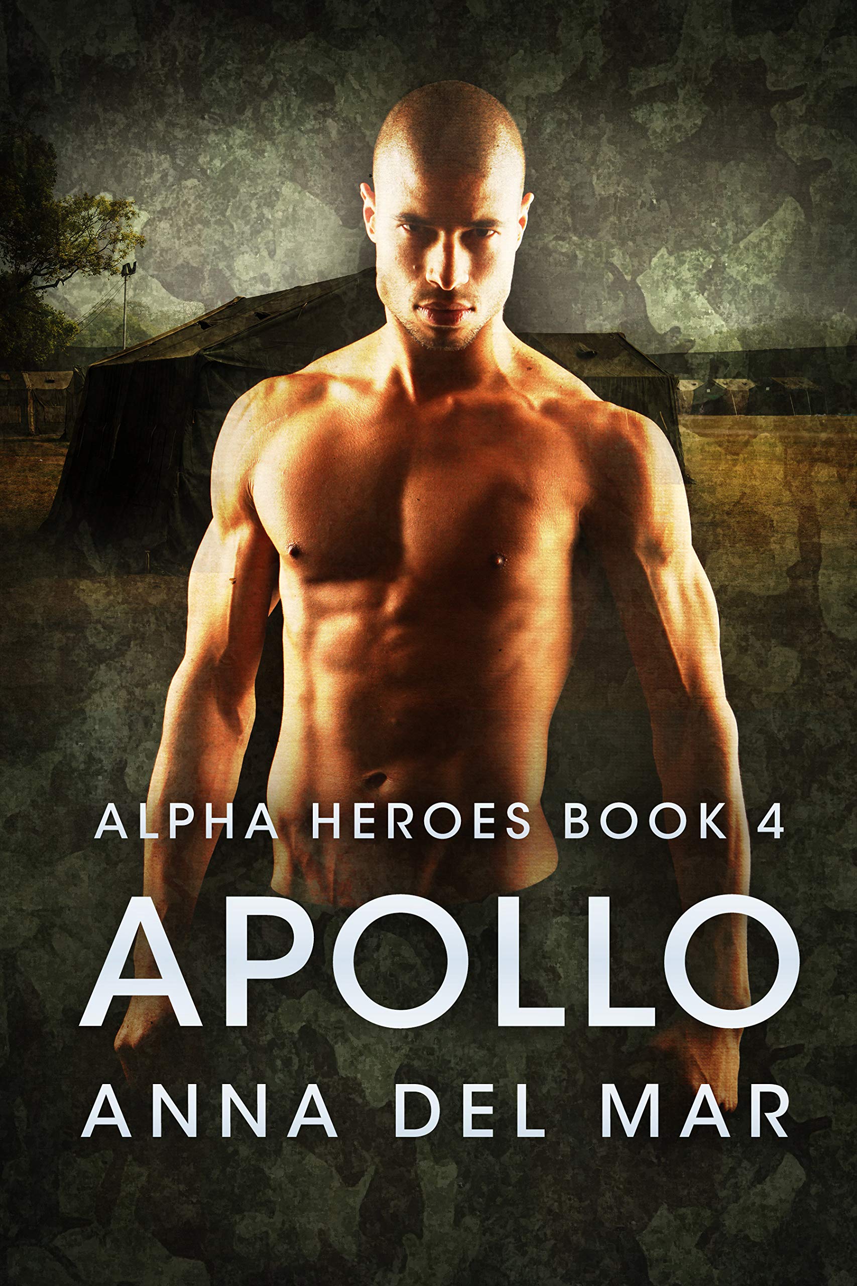 Apollo book cover