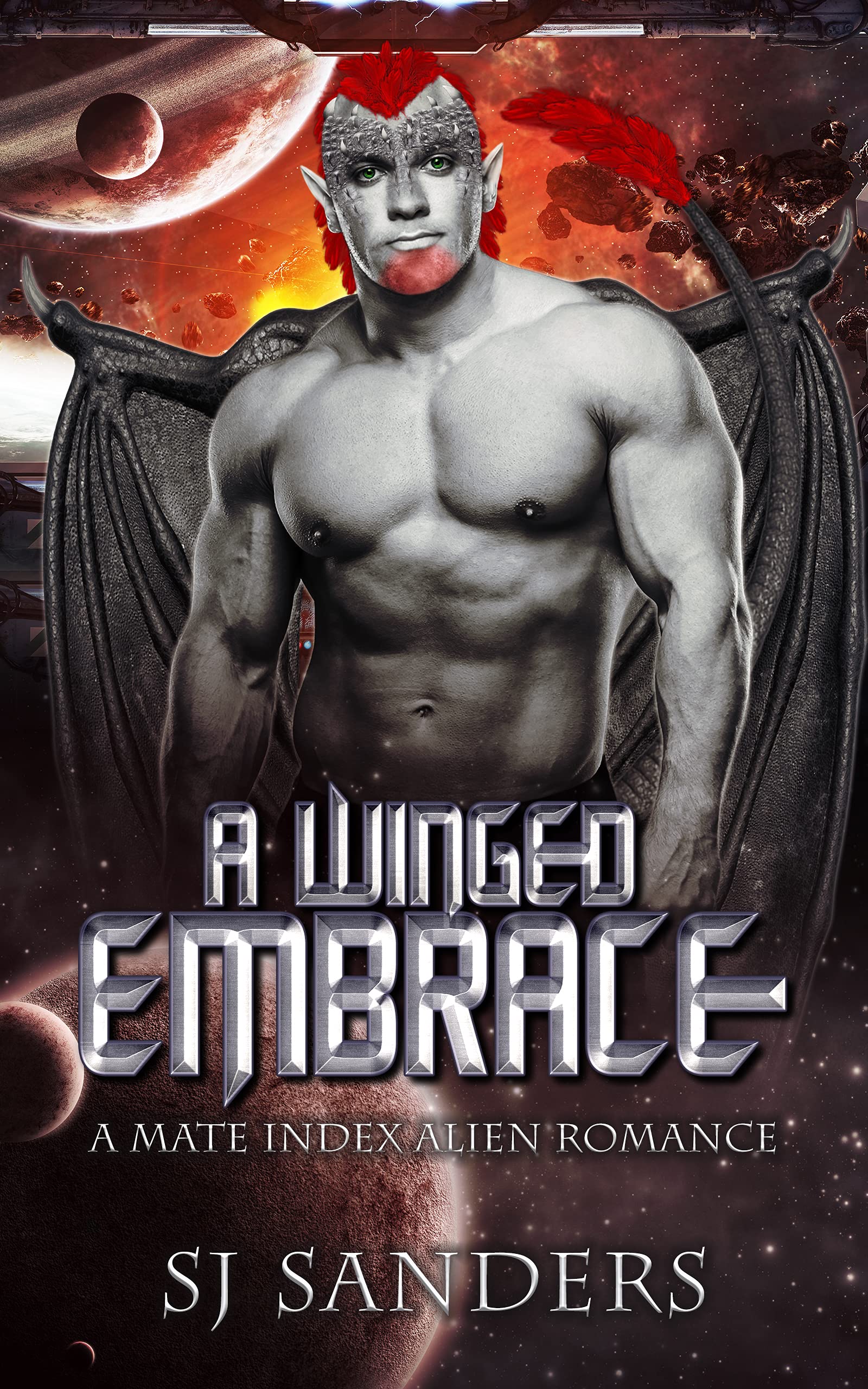 A Winged Embrace book cover