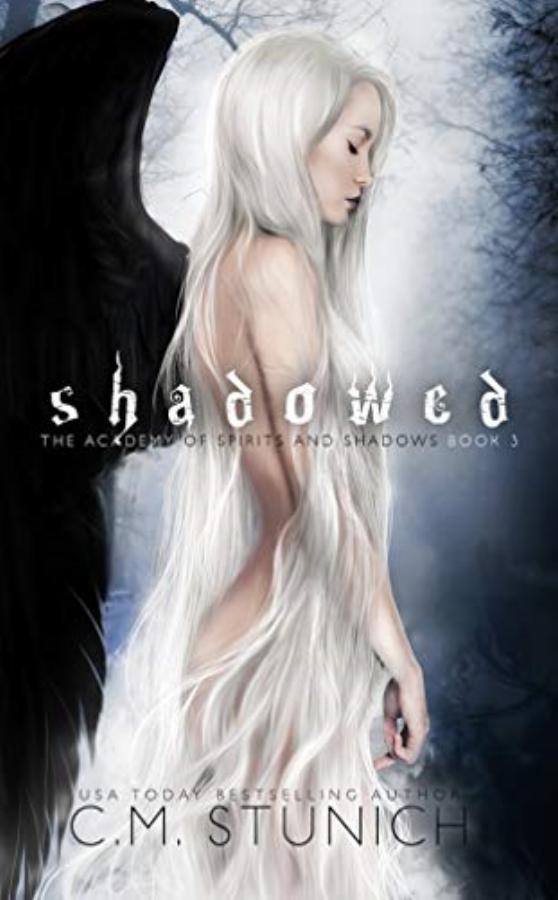 The Academy of Spirits and Shadows book cover 3