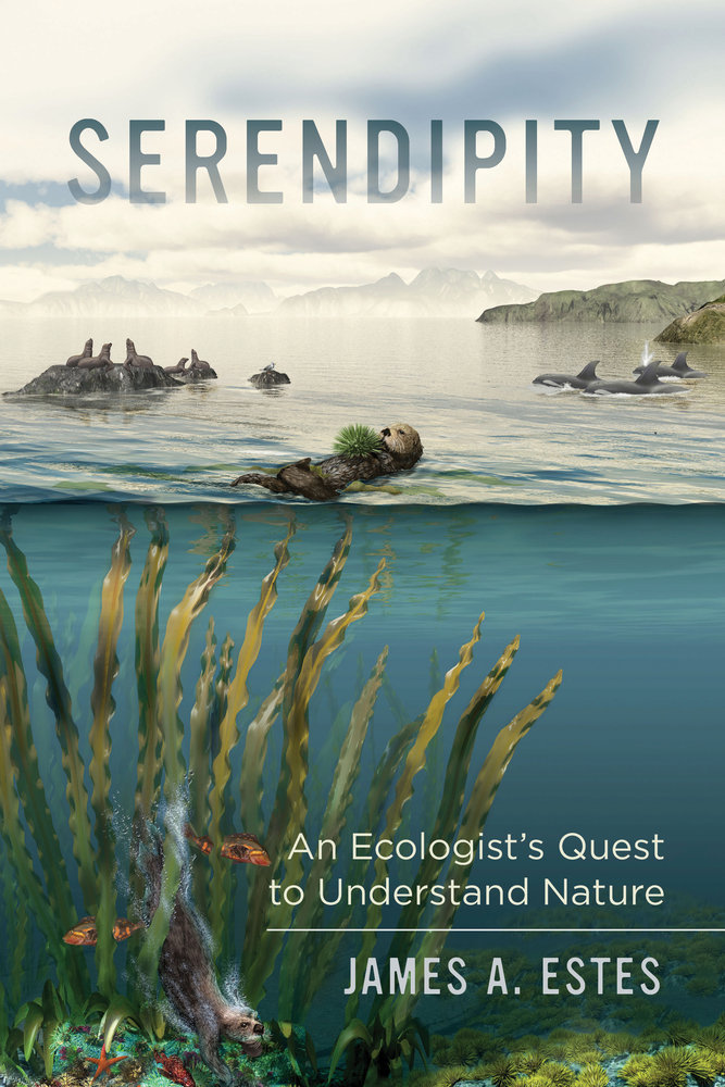 Serendipity book cover