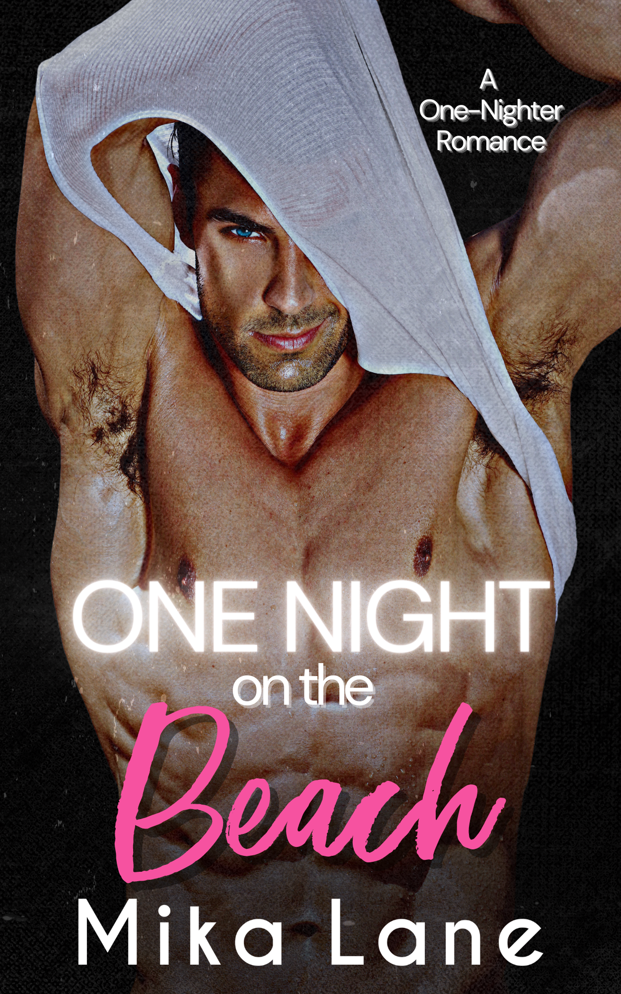One Night on the Beach book cover
