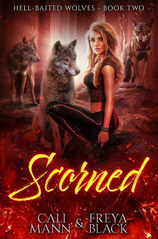 Hell Baited Wolves book cover 2