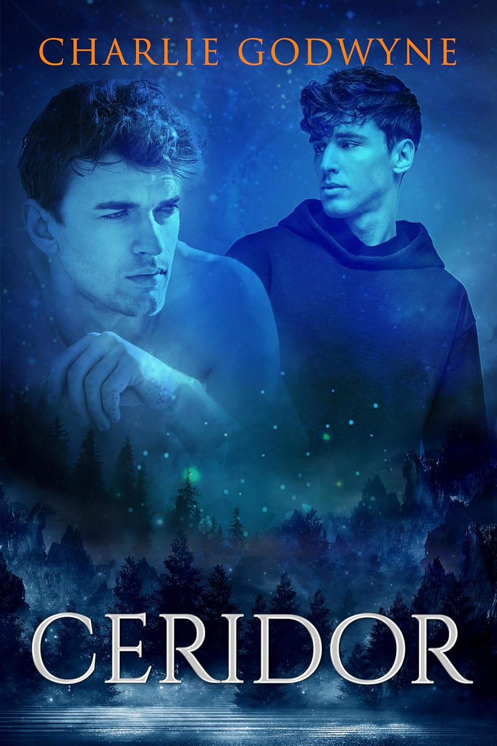 Danubian book cover 3