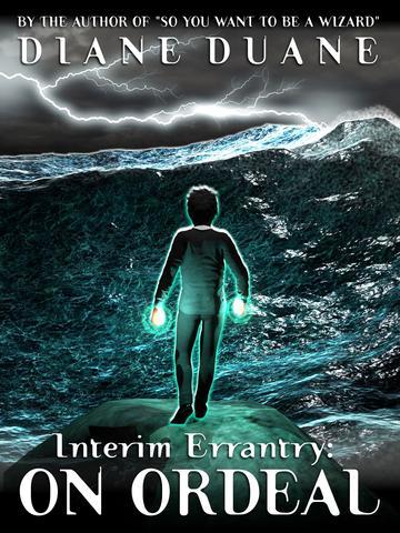 Interim Errantry book cover