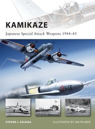 Kamikaze book cover