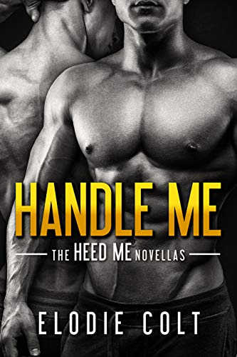 Handle Me book cover