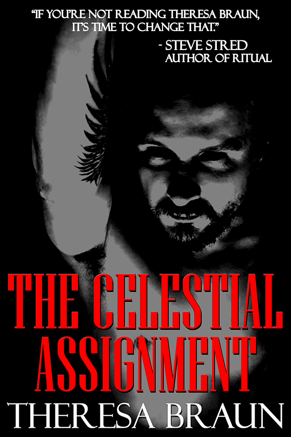 The Celestial Assignment book cover