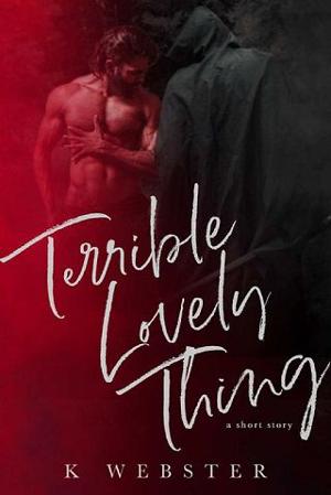 Terrible Lovely Thing book cover