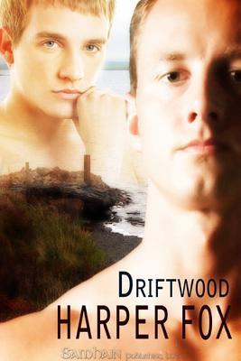 Driftwood book cover