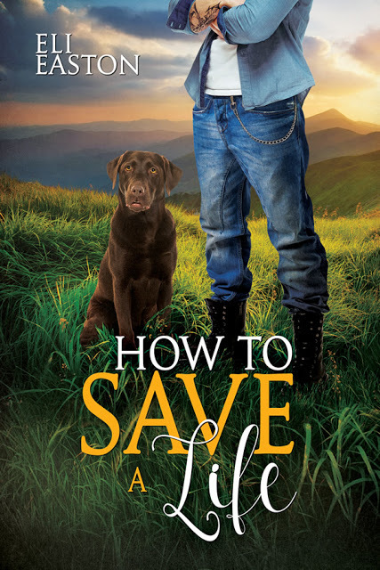How to Save a Life book cover
