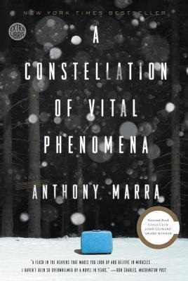 A Constellation of Vital Phenomena book cover