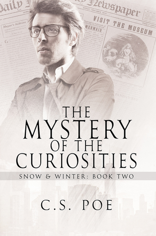 Snow & Winter book cover 2
