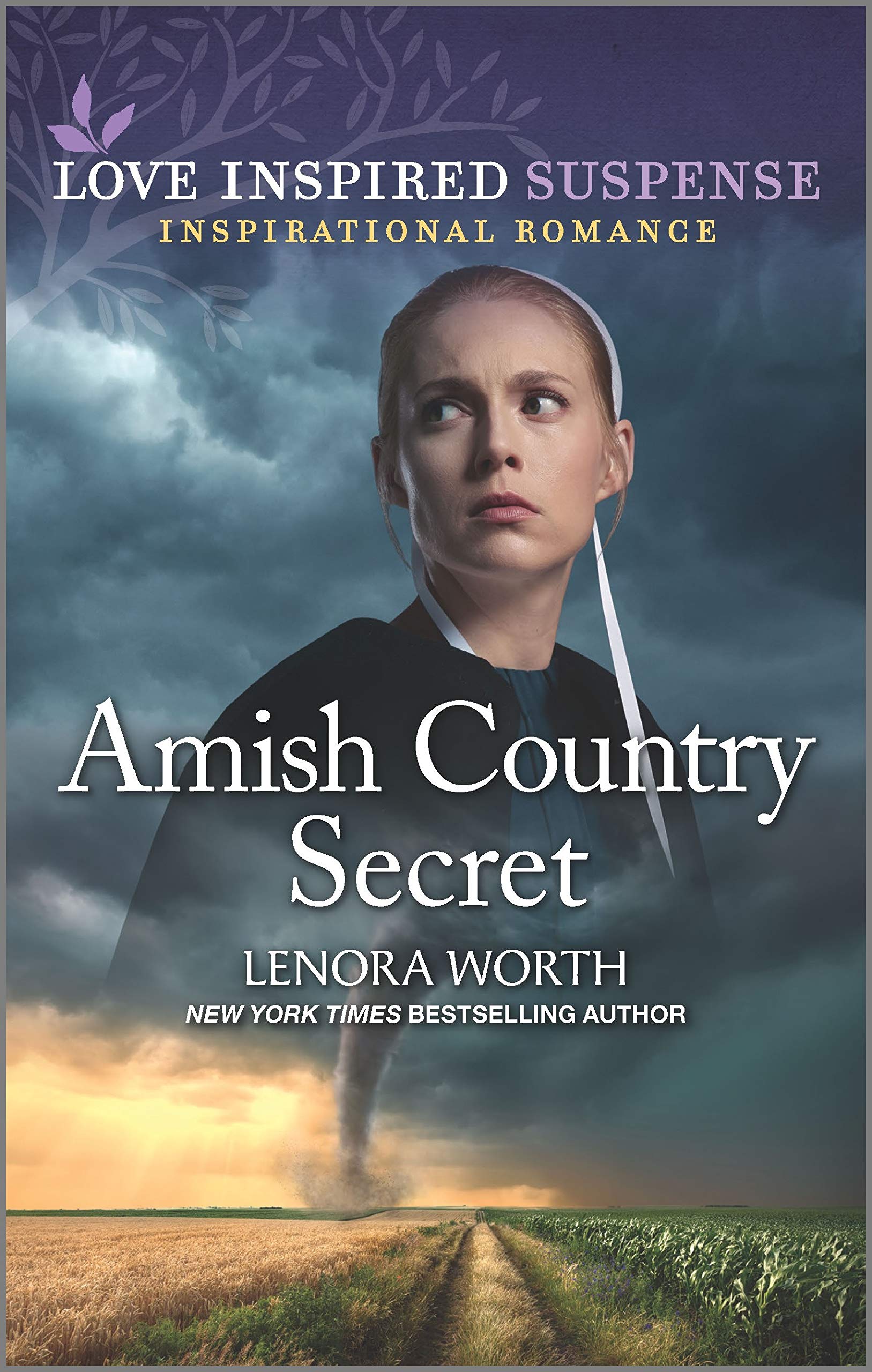 Amish Country Secret book cover