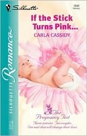 The Pregnancy Test book cover 2