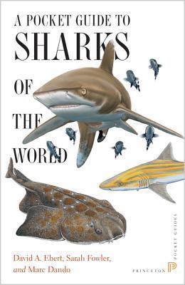 A Pocket Guide to Sharks of the World book cover