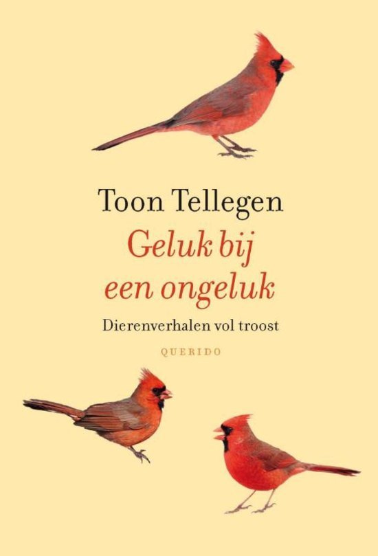 Geluk bij een ongeluk book cover