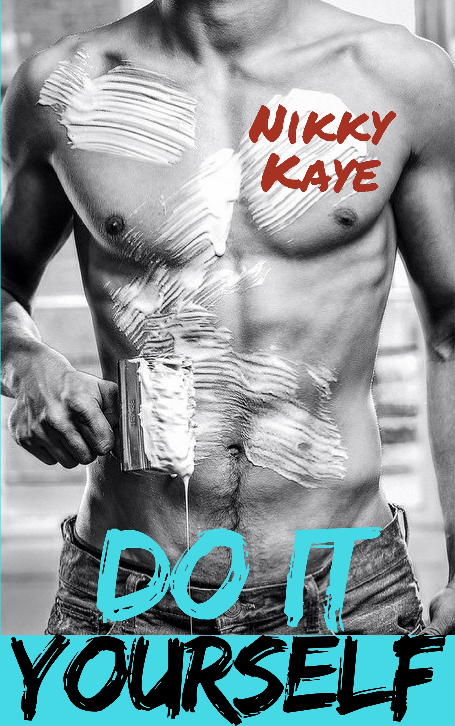 Do It Yourself book cover