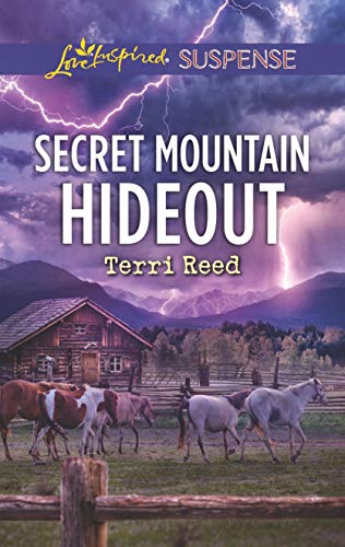 Secret Mountain Hideout book cover