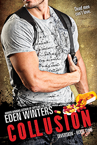 Diversion book cover 2