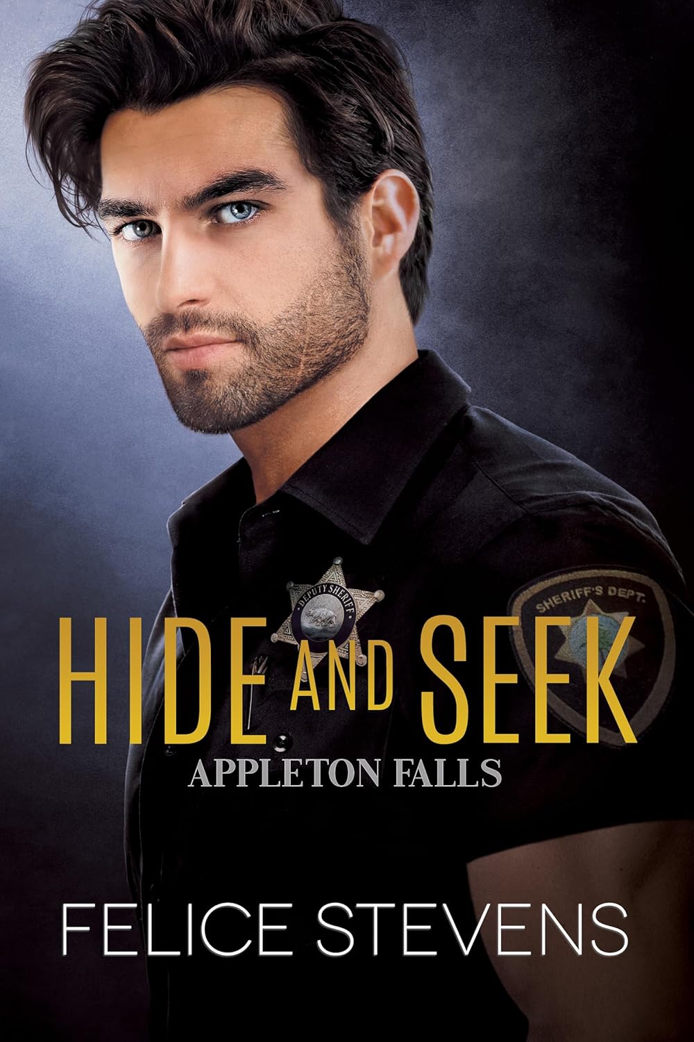 Hide and Seek book cover