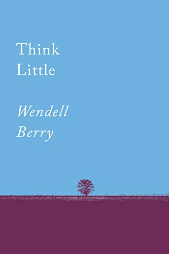 Think Little book cover