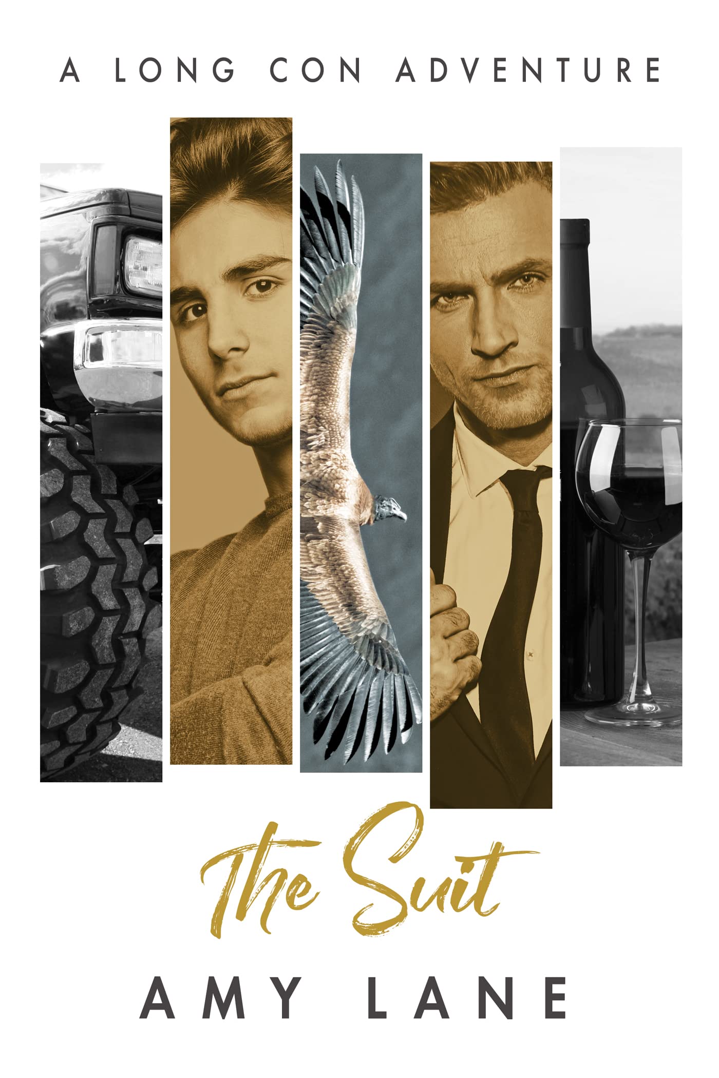 The Suit book cover