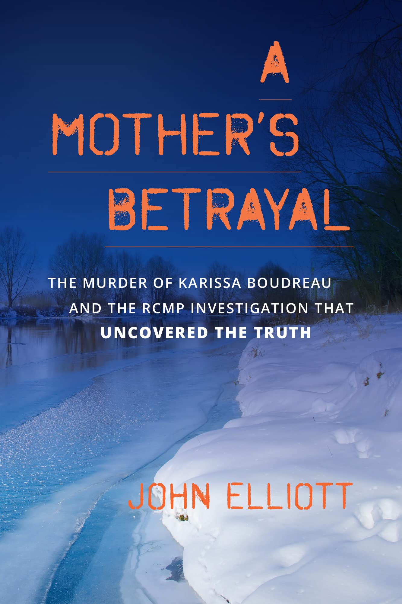 A Mother's Betrayal book cover