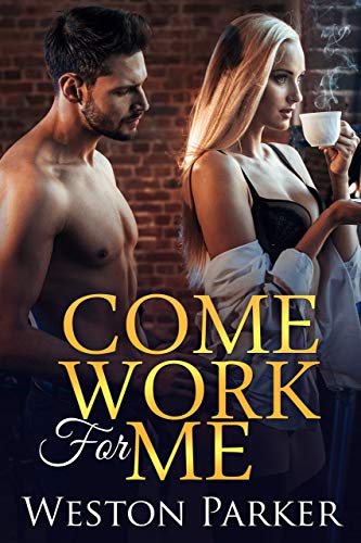 Come Work For Me book cover