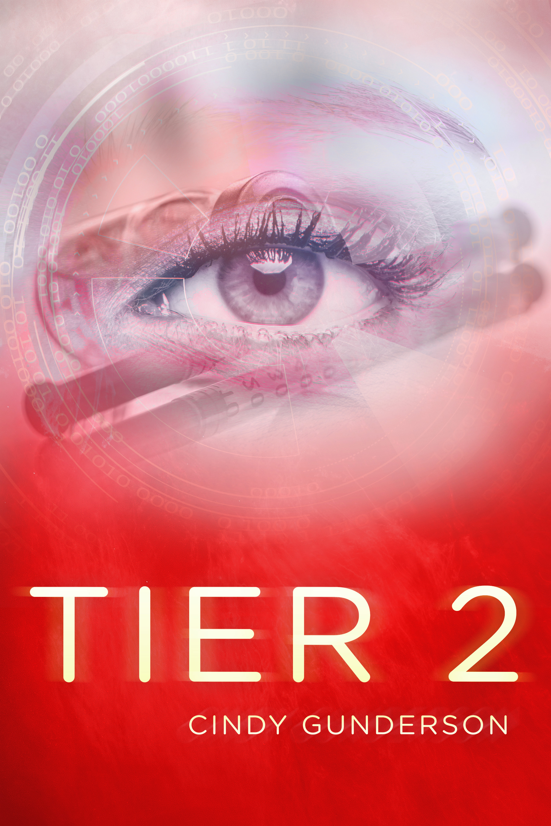 Tier 2 book cover