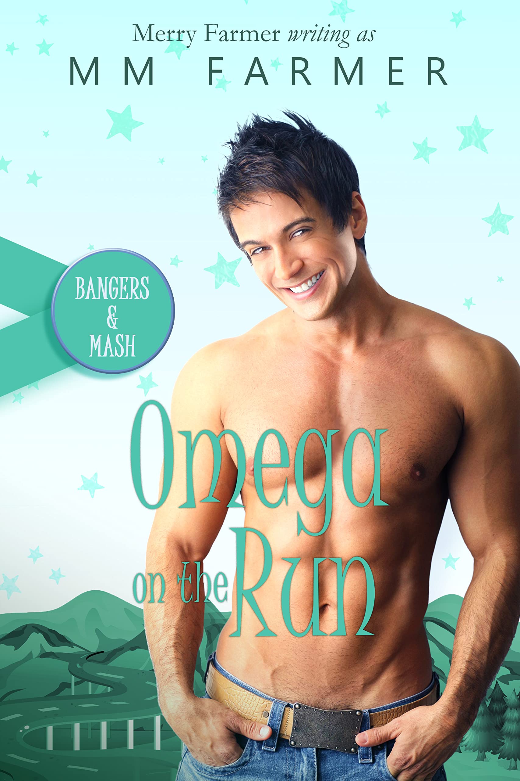Omega on the Run book cover