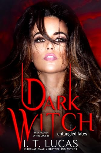 Dark Witch book cover