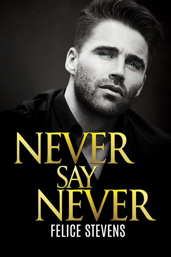 Never Say Never book cover