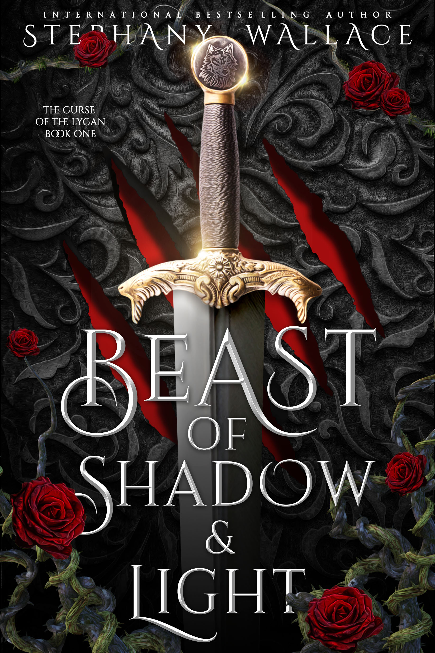 Beast of Shadow & Light book cover