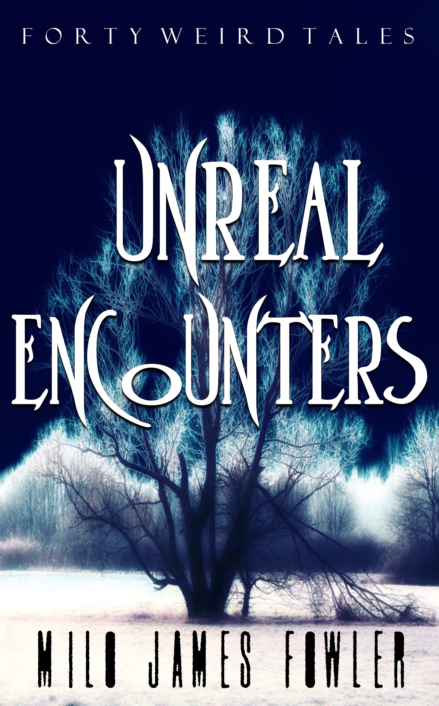 Unreal Encounters book cover
