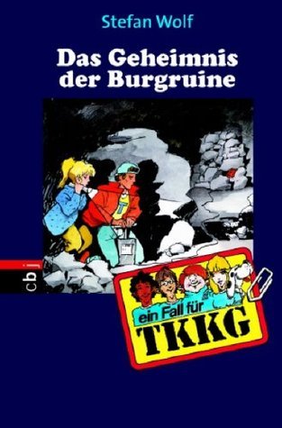 Das Geheimnis der Burgruine book cover