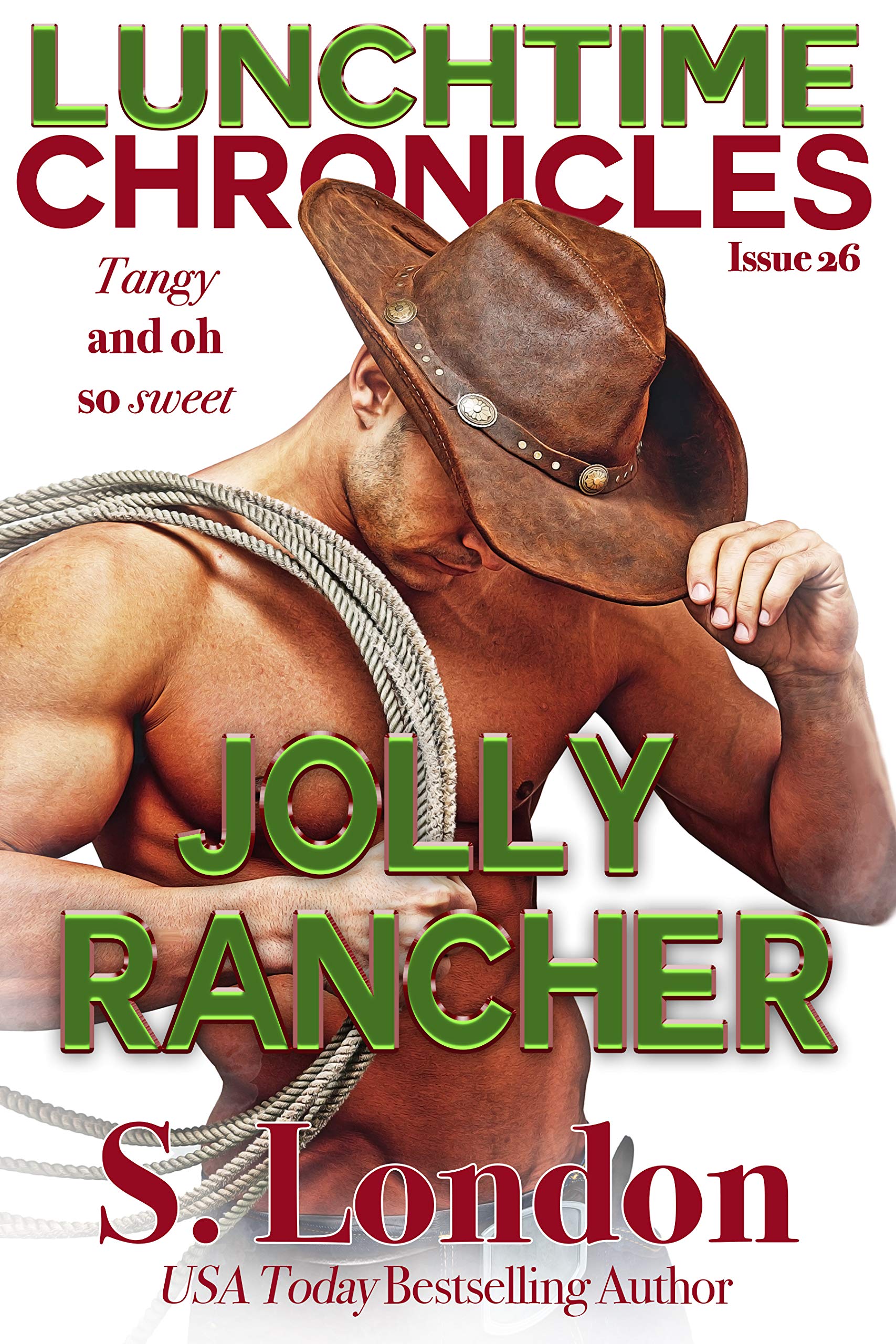 Lunchtime Chronicles book cover
