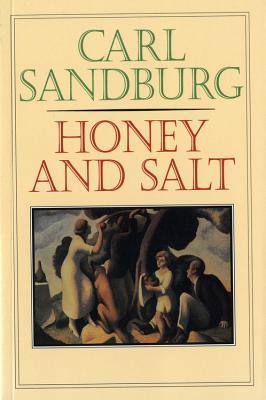 Honey And Salt book cover