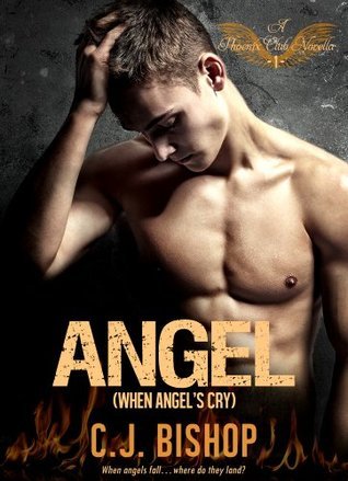 Angel book cover 1