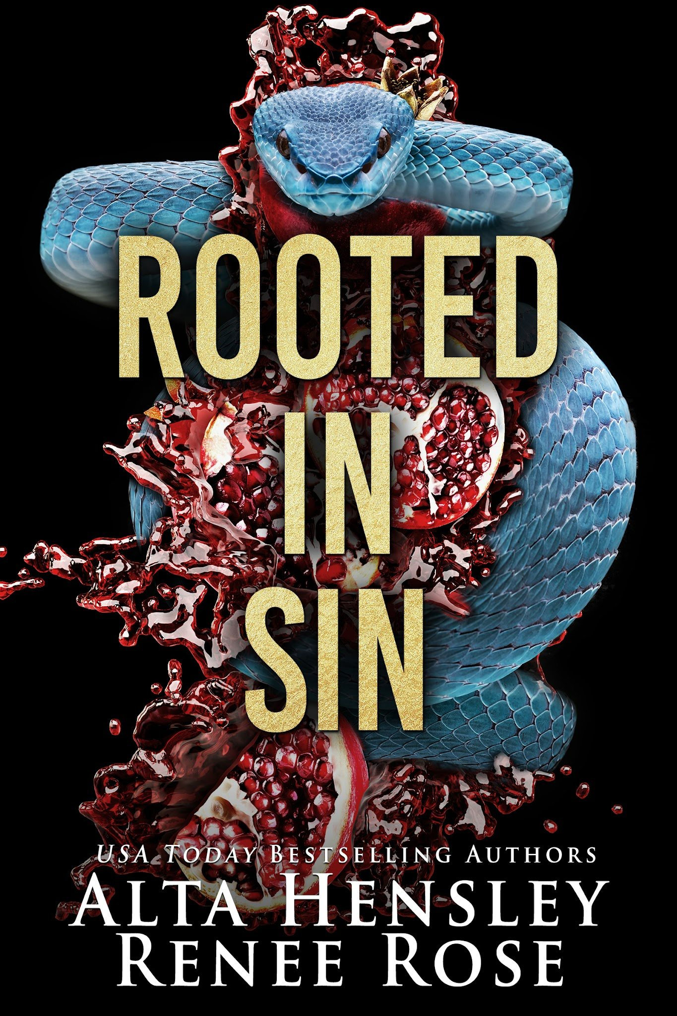 Chicago Sin book cover 2