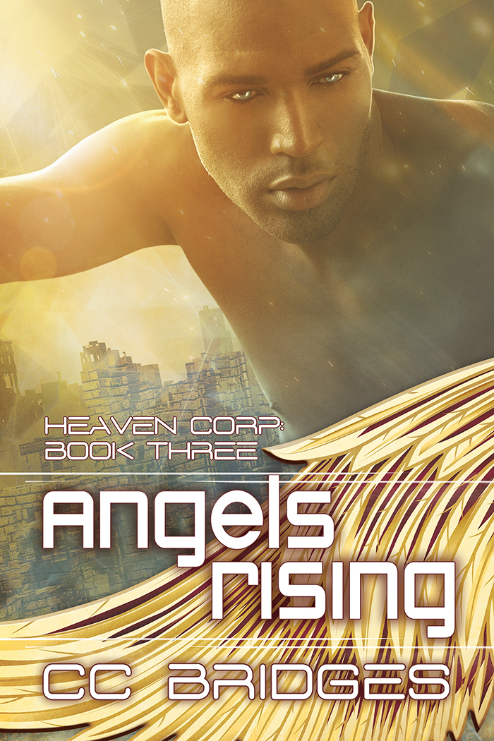 Heaven Corp. book cover 3