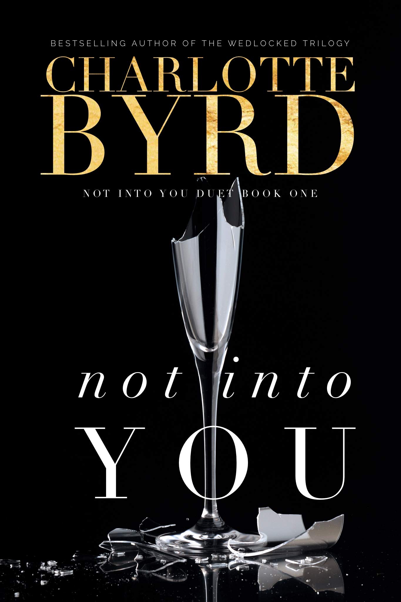 Not Into You book cover 1