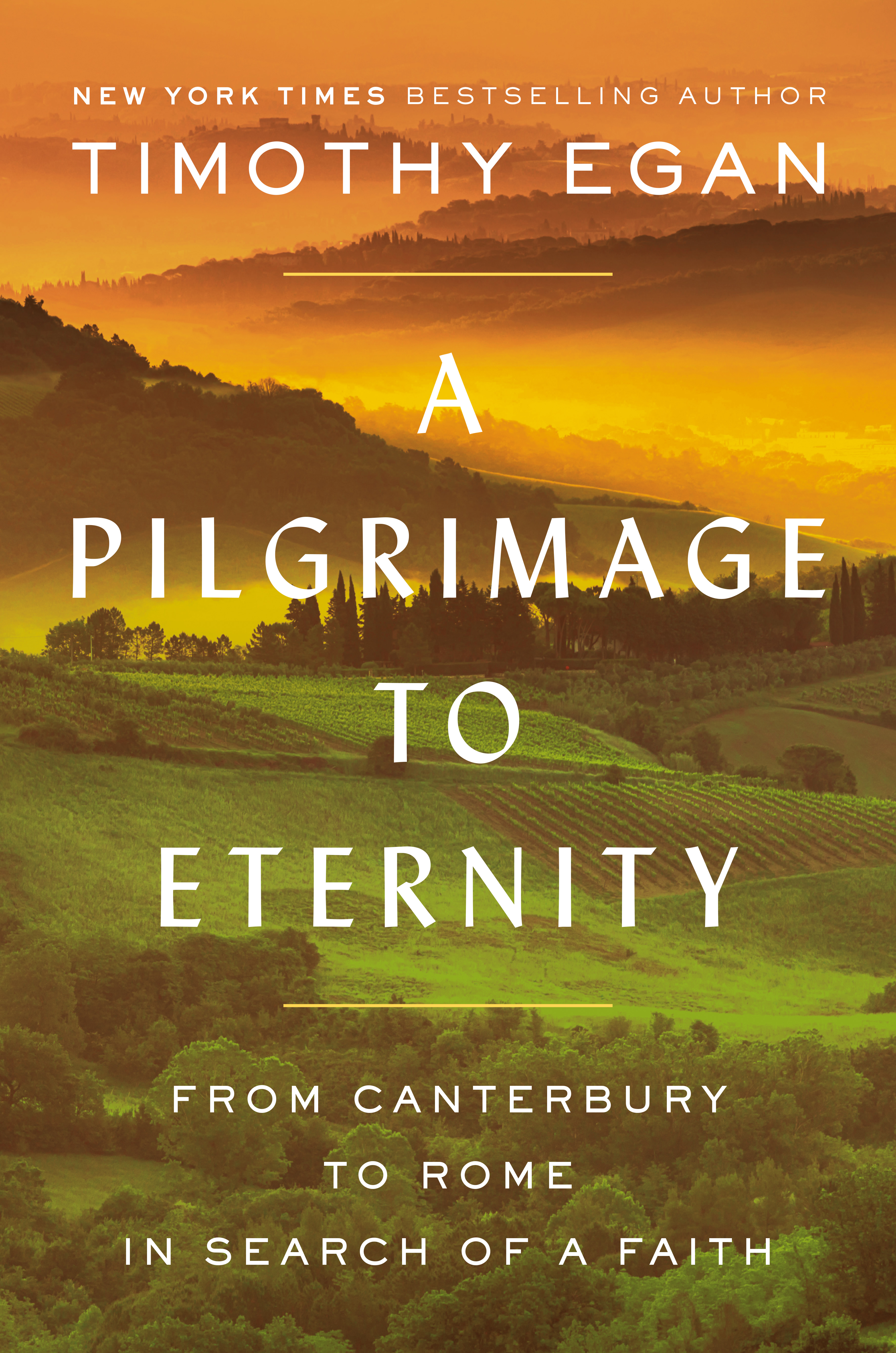 A Pilgrimage to Eternity book cover