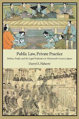 Public Law, Private Practice book cover