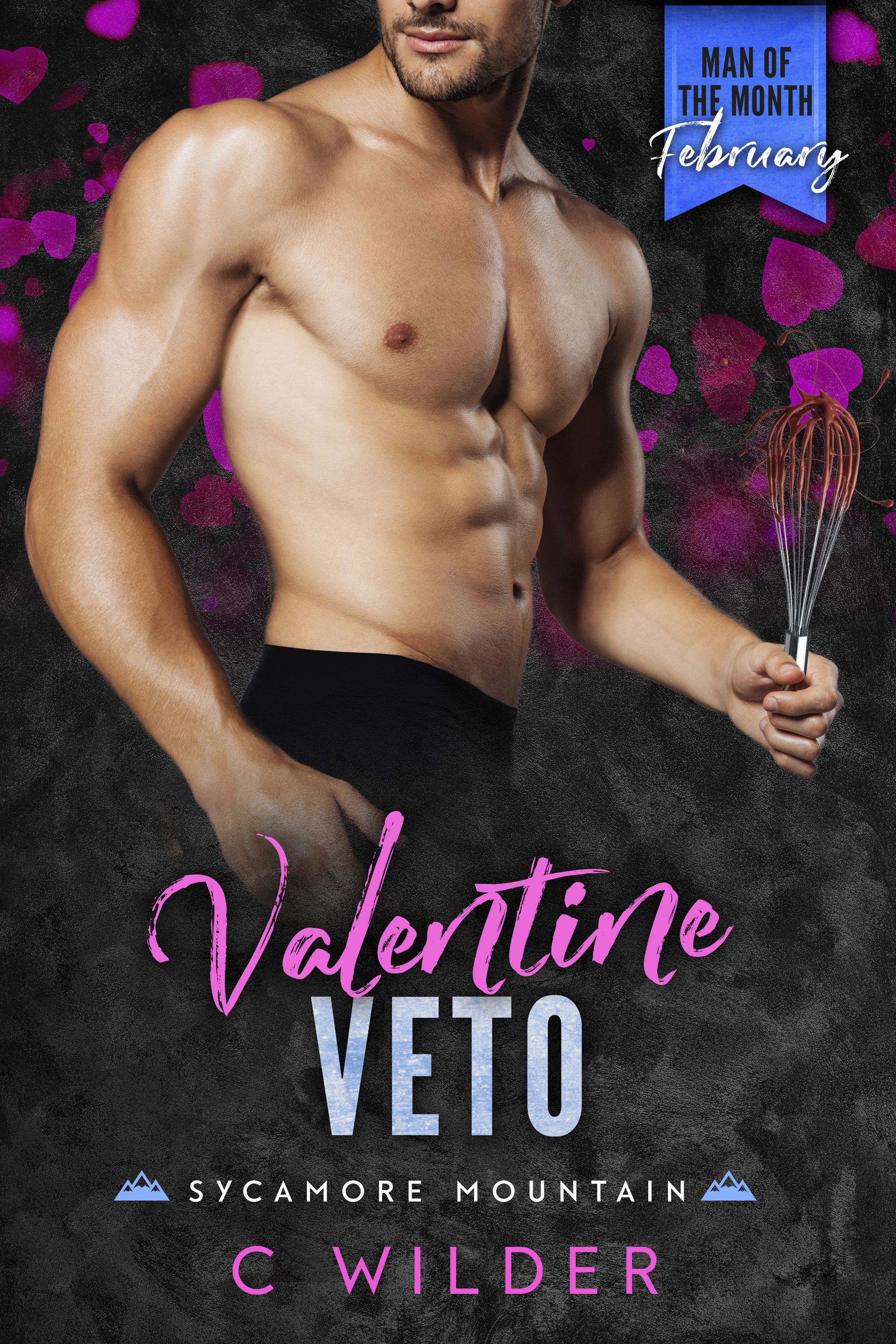 Valentine Veto book cover