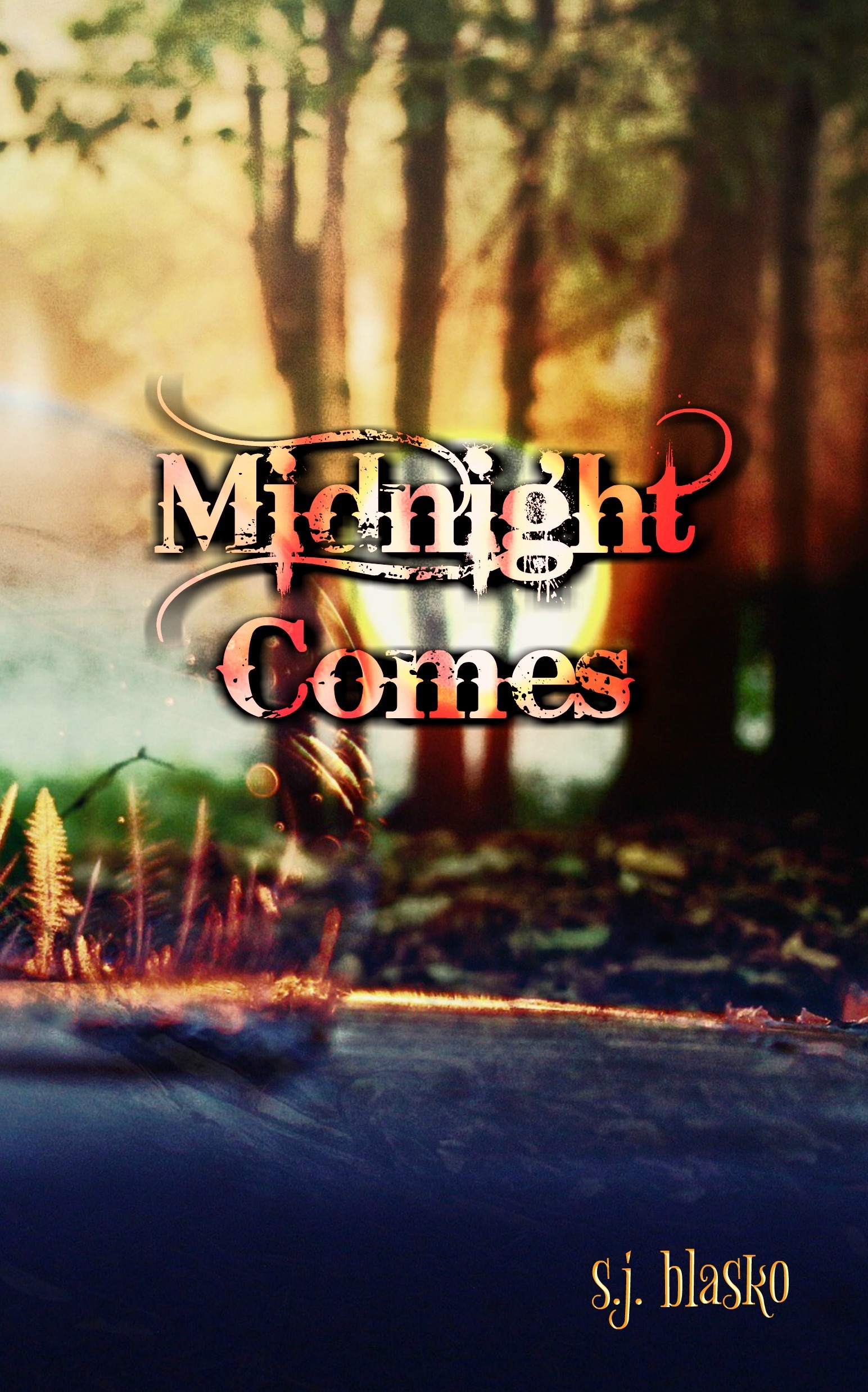 Midnight Comes book cover