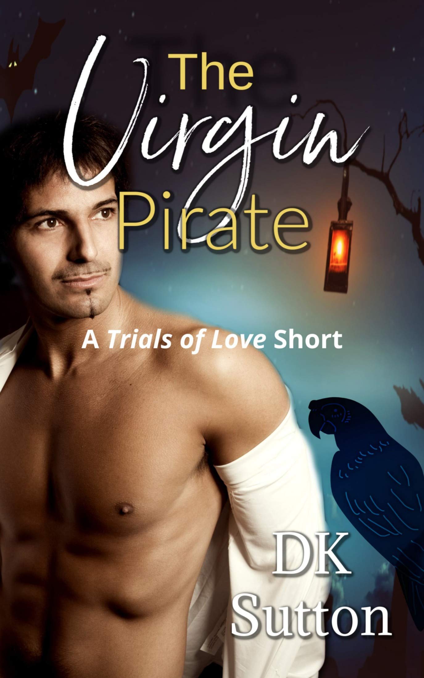 The Virgin Pirate book cover